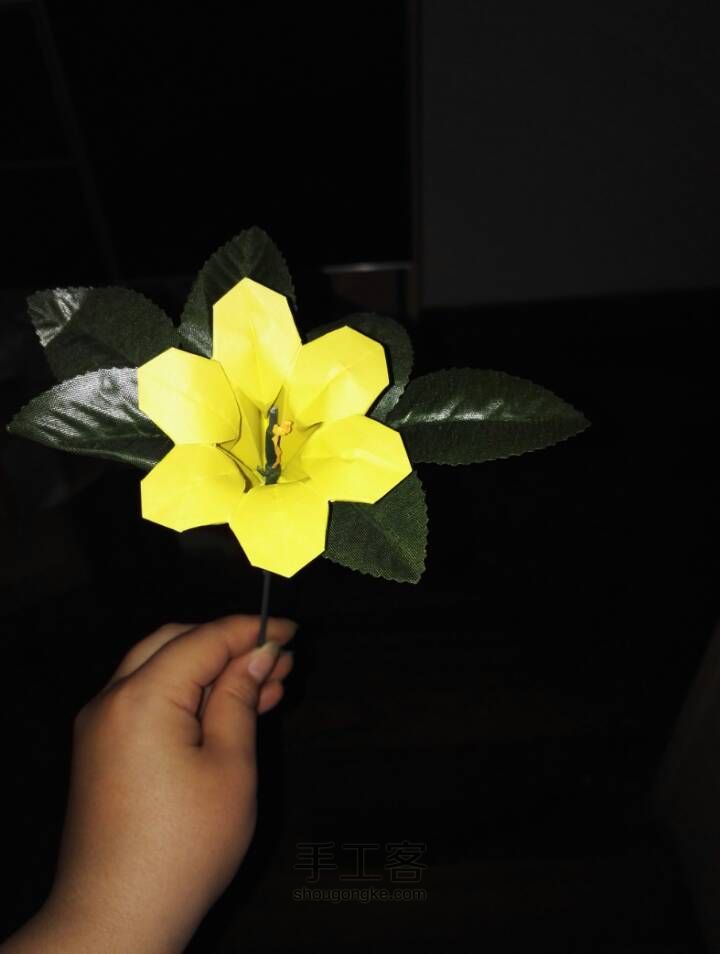 美腻六瓣花 第39步