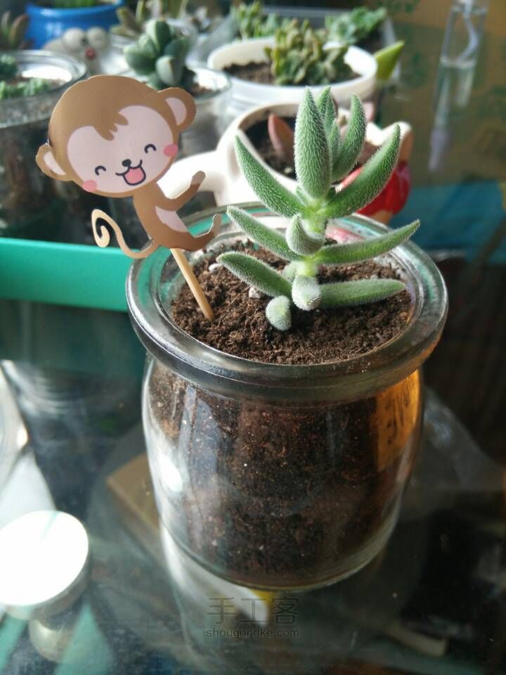 面膜包装袋你就扔了（4）萌萌哒多肉装饰 第3步