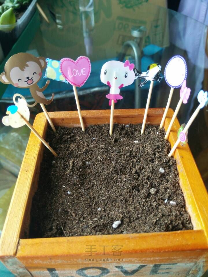面膜包装袋你就扔了（4）萌萌哒多肉装饰 第4步