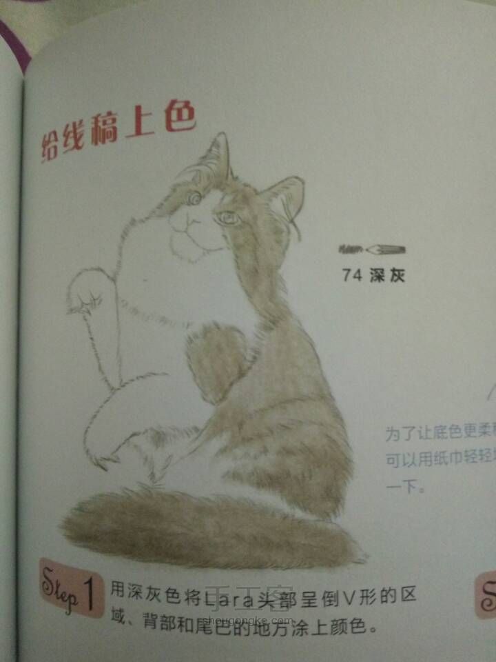 （转）彩铅猫 第5步