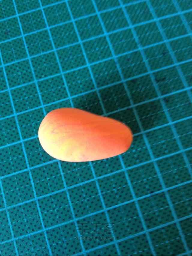 鱼 第1步