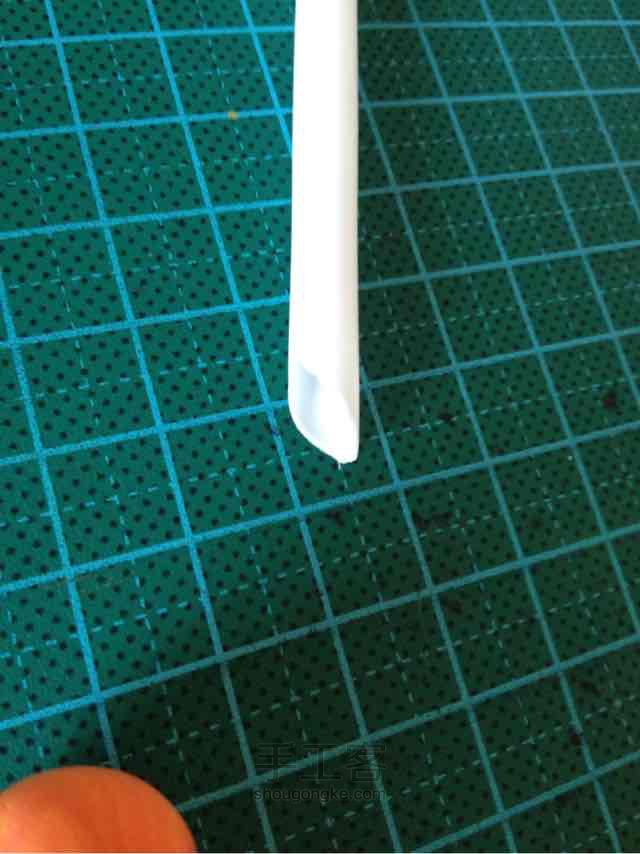 鱼 第6步
