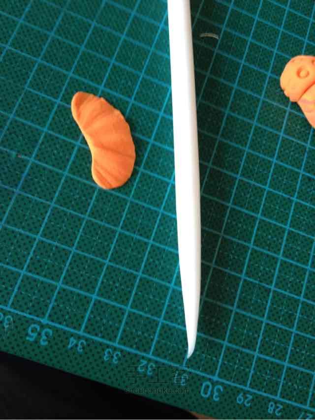 鱼 第8步