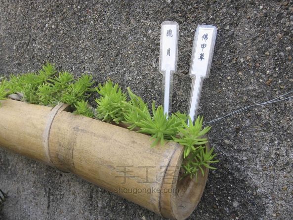 竹筒多肉花盆 第3步