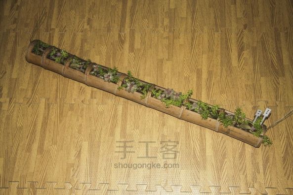竹筒多肉花盆 第5步