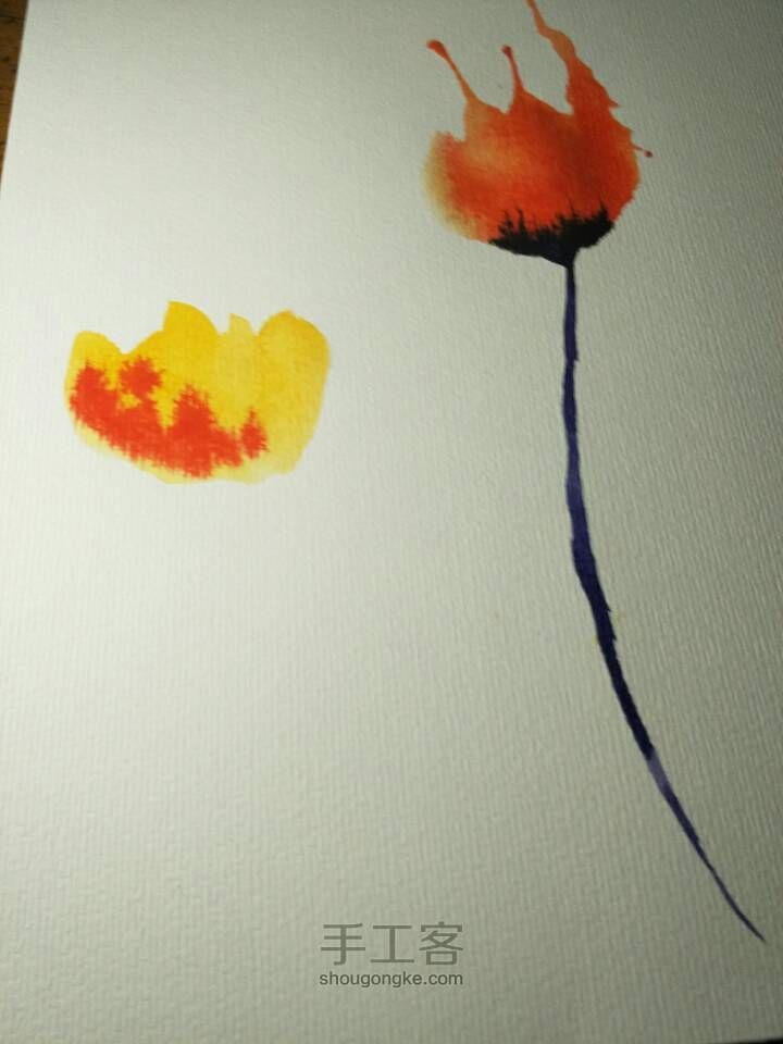 十分钟速成水彩画罂粟花（花卉篇湿画法） 第4步