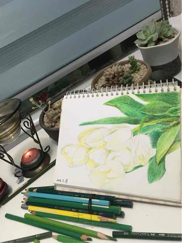 百草绘-郁金香 第4步