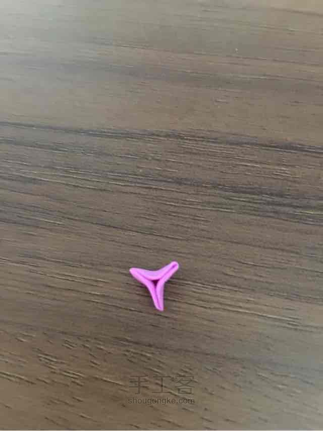 不知名的花 第3步