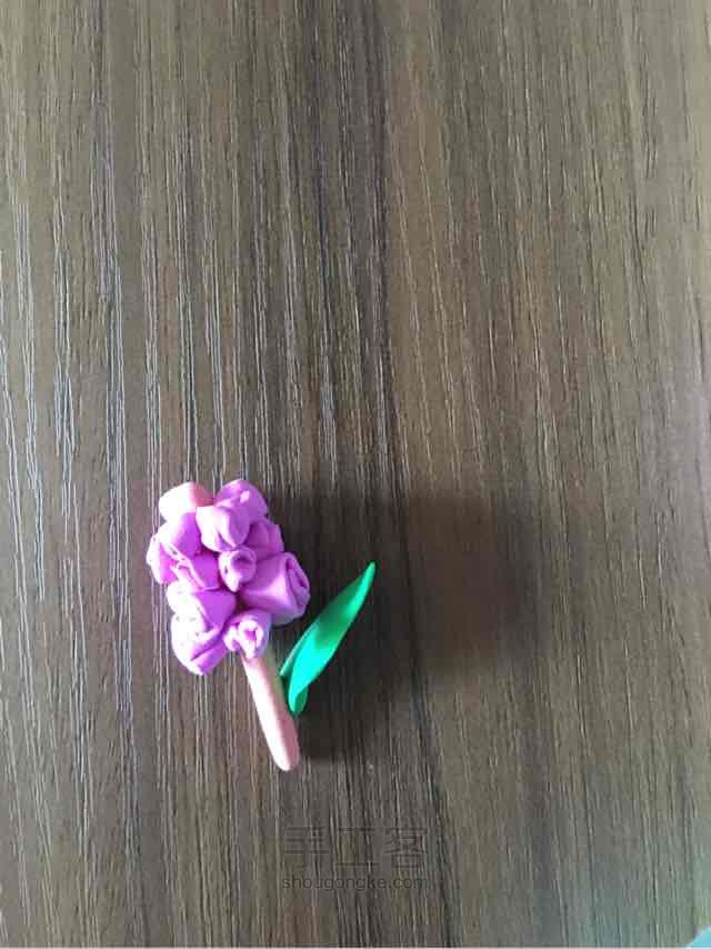 不知名的花 第7步