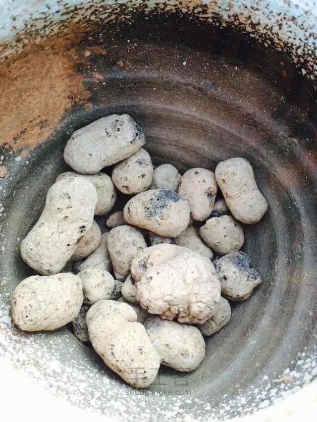 多肉老桩换盆方法 第3步
