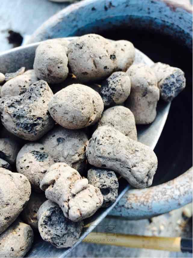 多肉老桩换盆方法 第2步
