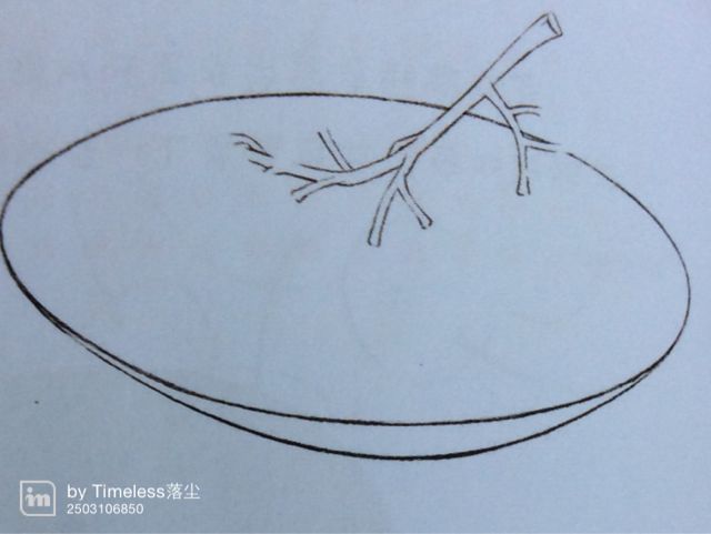 盘子里的葡萄 第2步