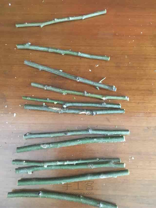 自制柳条杯垫 第1步