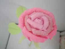 玫瑰（粉红）：感动、爱的宣言、铭记于心 、初恋，喜欢你那灿烂的笑容