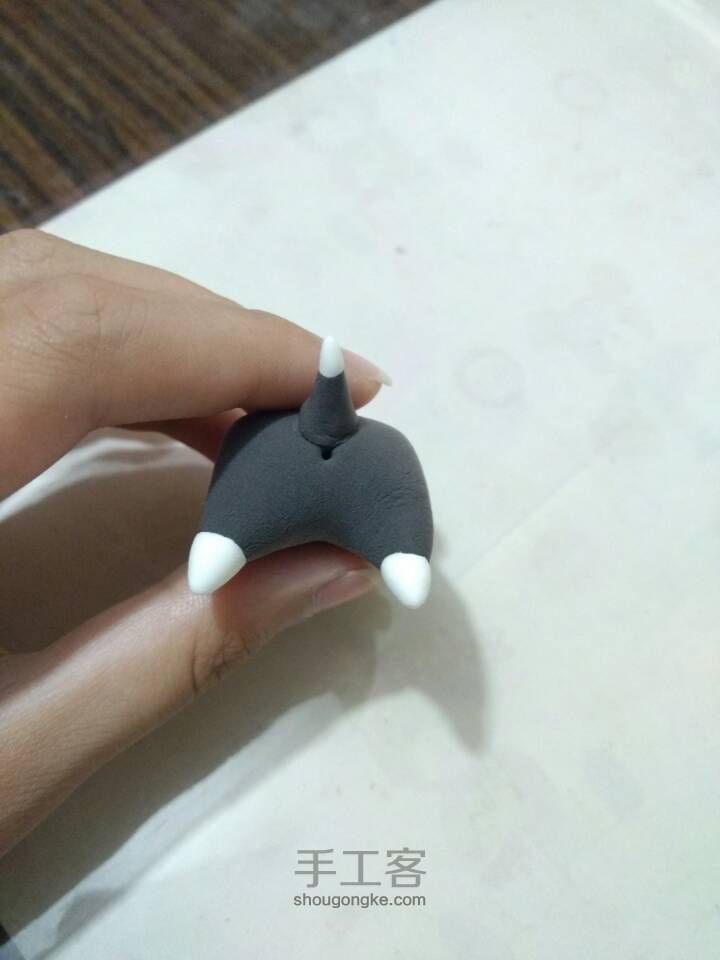 可爱雪纳瑞 第19步