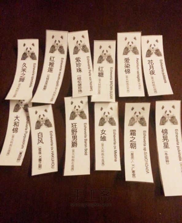 DIY植物标签 第5步