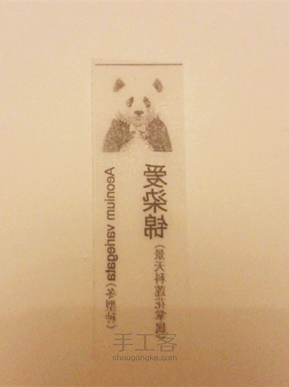 DIY植物标签 第8步