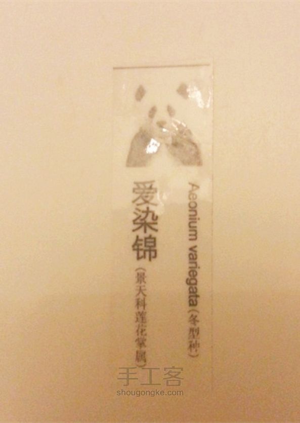 DIY植物标签 第7步