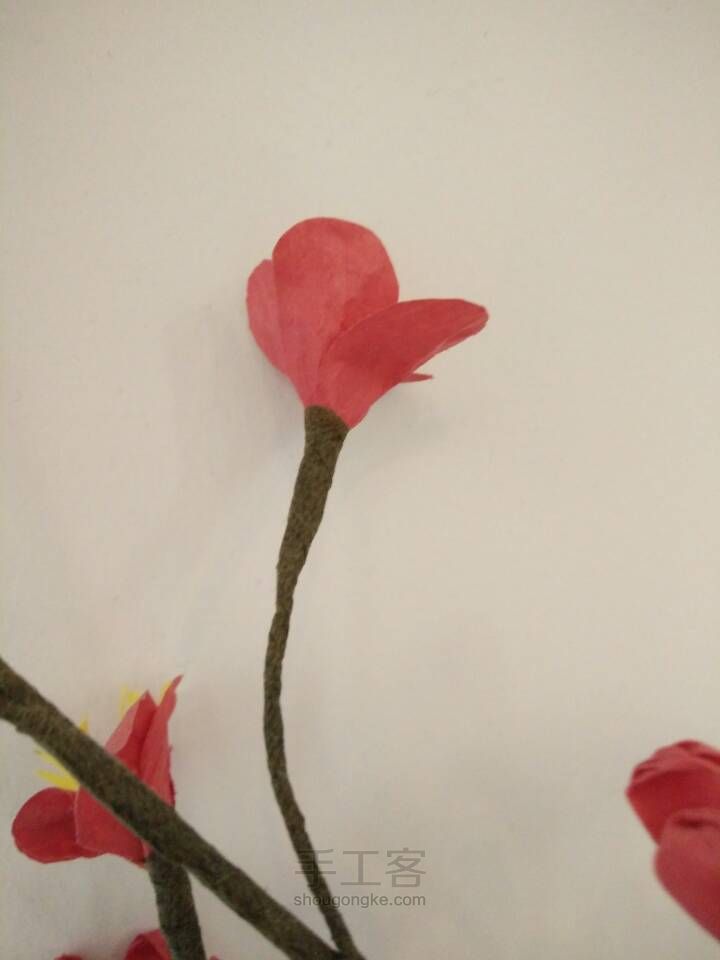 【纸艺花】红梅花 第6步