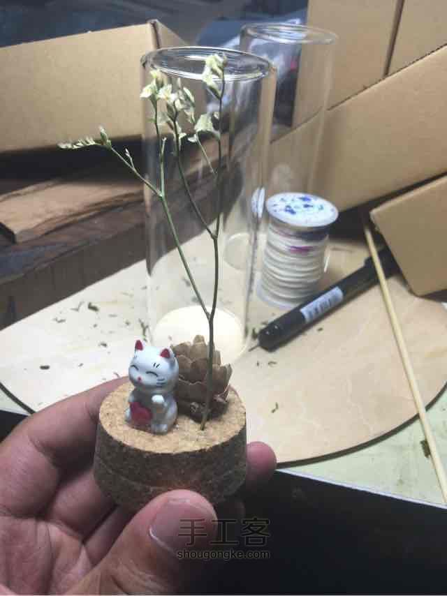招财猫也有女朋友 第3步