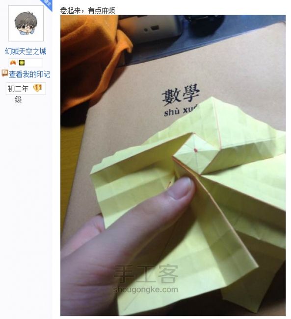 贝利尔玫瑰 第8步