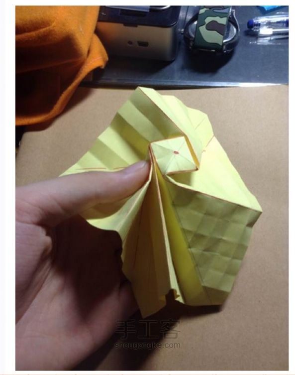 贝利尔玫瑰 第9步