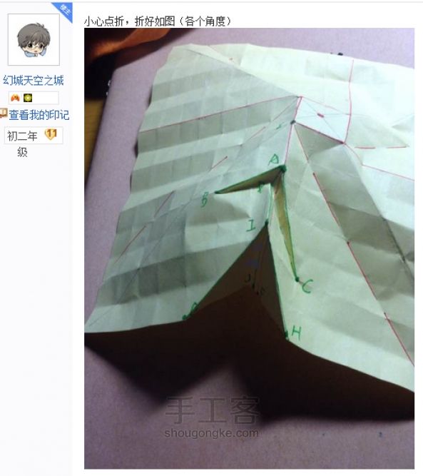 贝利尔玫瑰 第21步