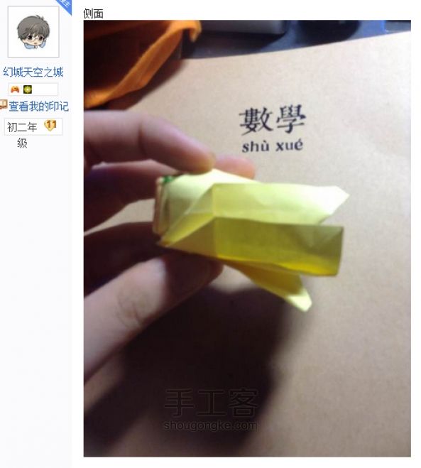 贝利尔玫瑰 第28步