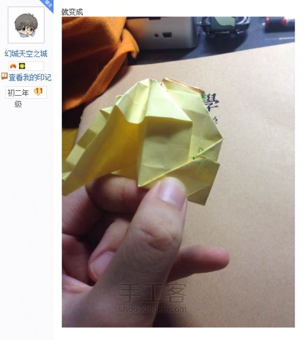 贝利尔玫瑰 第32步