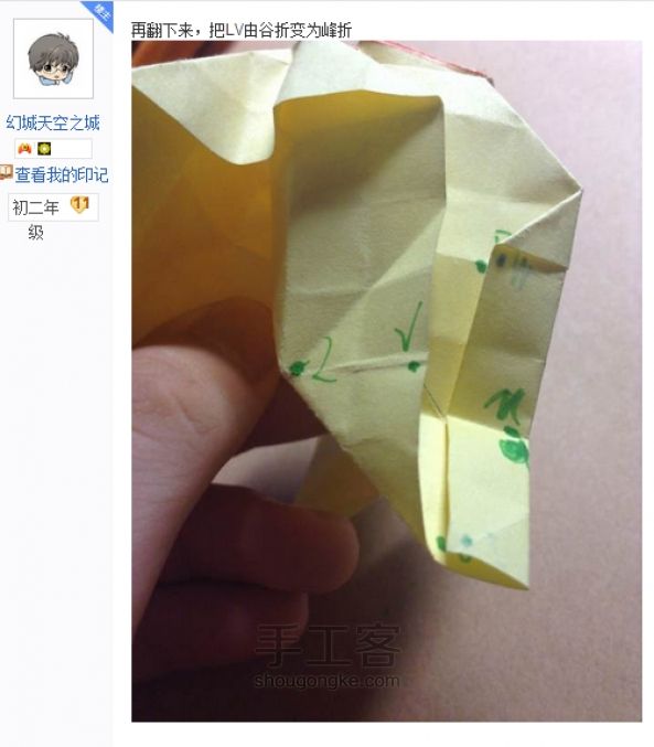 贝利尔玫瑰 第33步