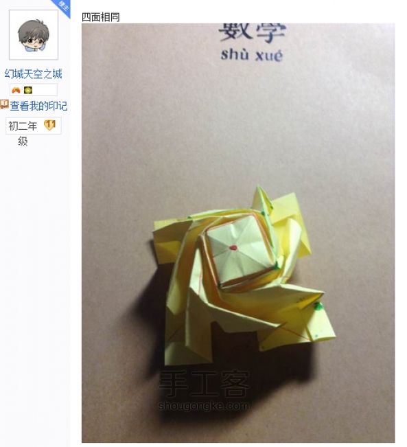 贝利尔玫瑰 第37步