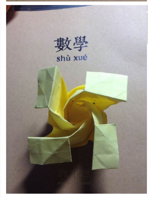 贝利尔玫瑰 第39步