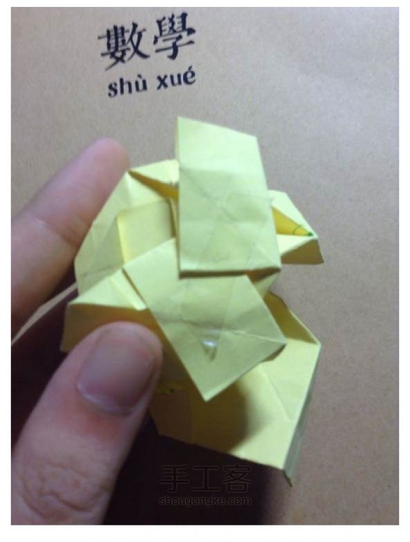 贝利尔玫瑰 第42步