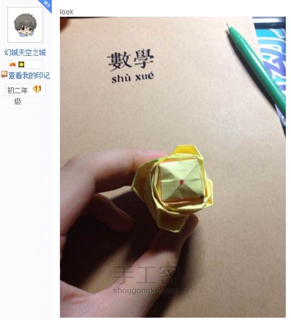 贝利尔玫瑰 第43步