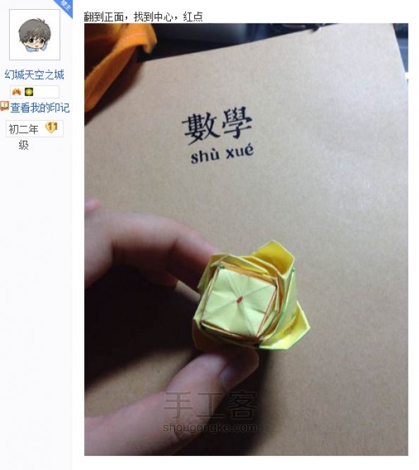 贝利尔玫瑰 第46步