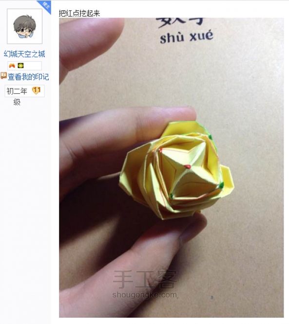 贝利尔玫瑰 第47步