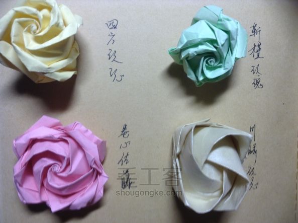 贝利尔玫瑰 第55步