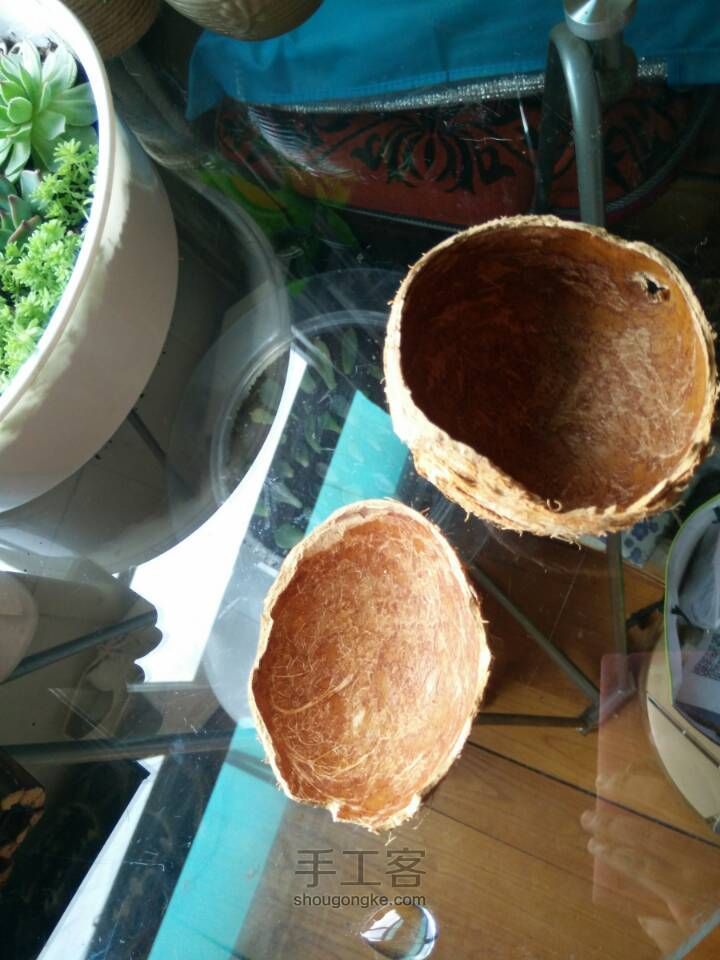 椰子壳的变身 第4步