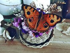 利用纸绳编织，干花与蝴蝶标本制作而成的装饰品。