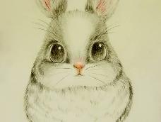 用彩铅简单画出毛茸茸的小兔子