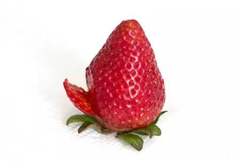 【转】草莓花达人制作 第3步