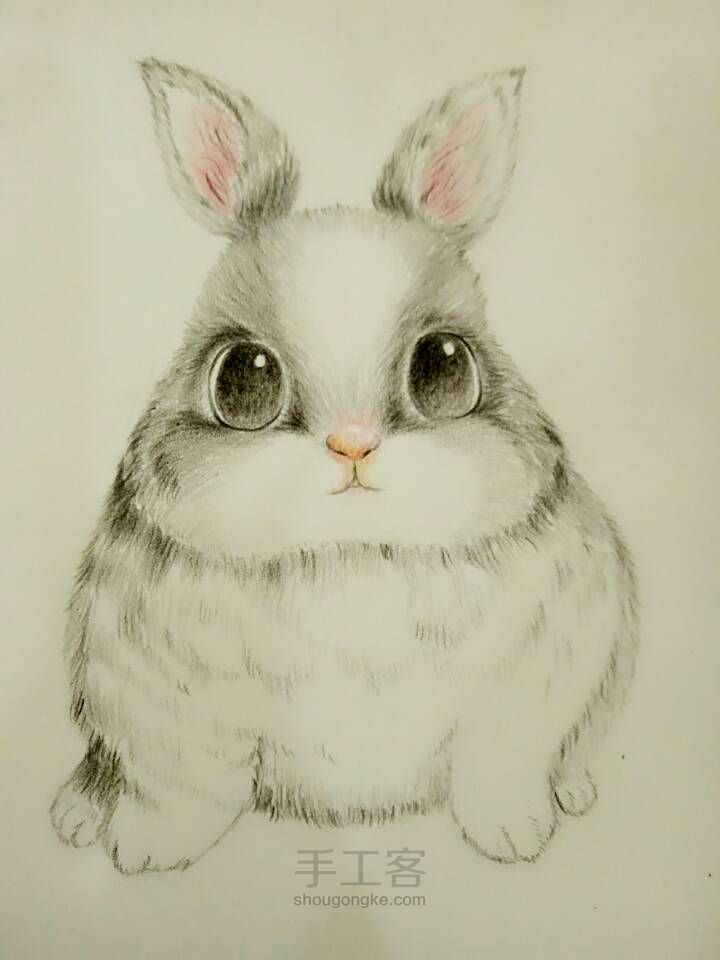 可爱小兔子（彩铅） 第6步
