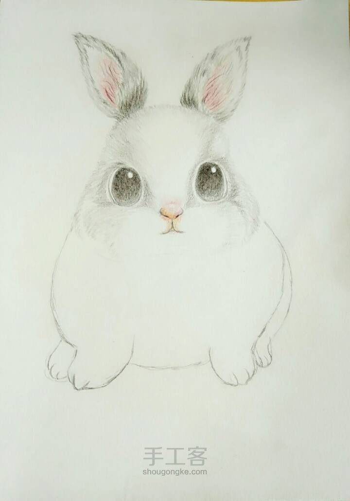 可爱小兔子（彩铅） 第2步