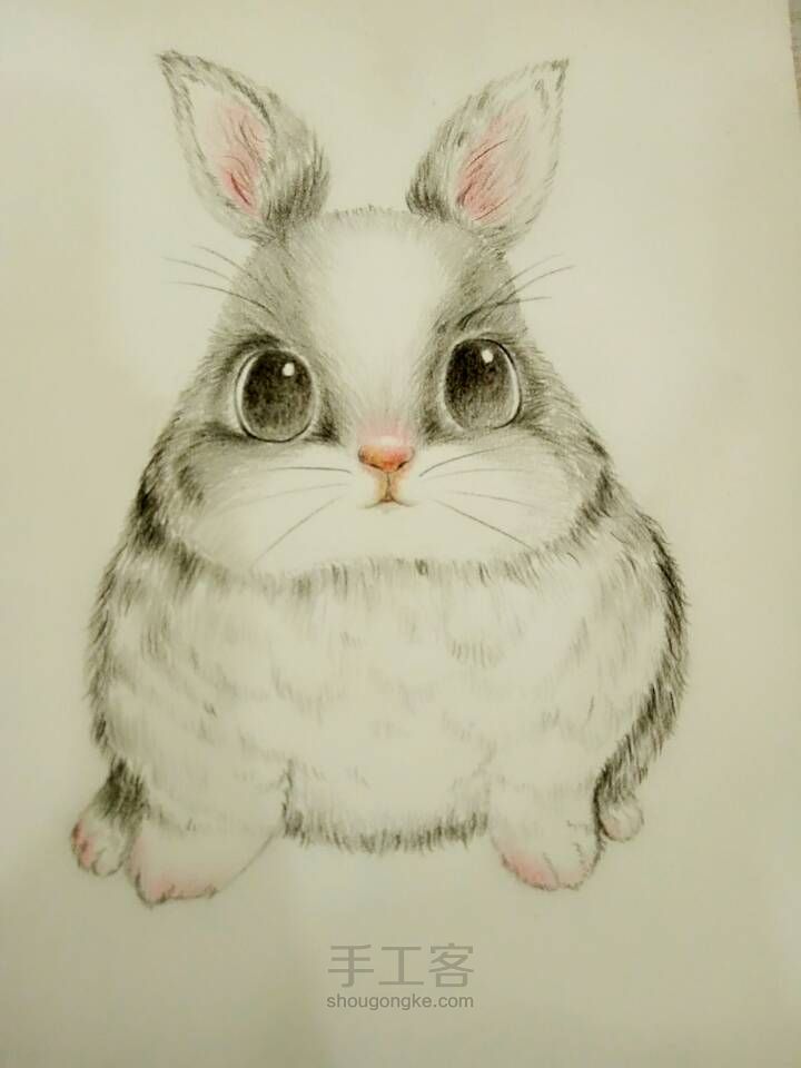 可爱小兔子（彩铅） 第7步