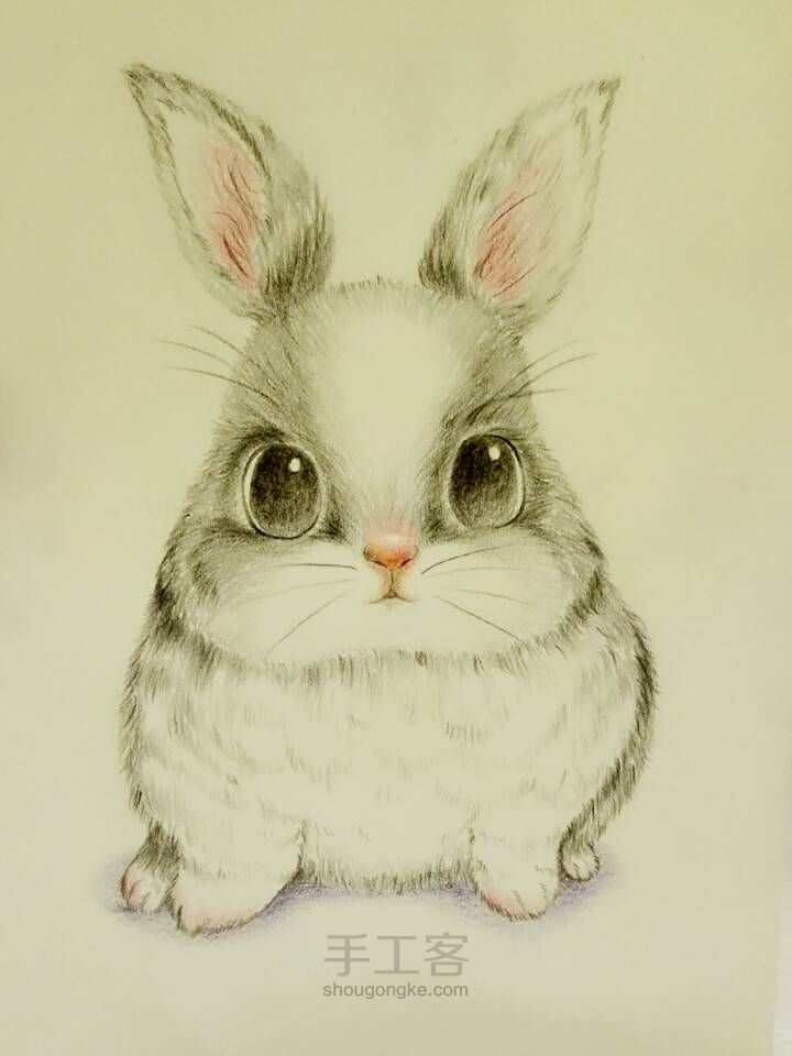 可爱小兔子（彩铅） 第8步