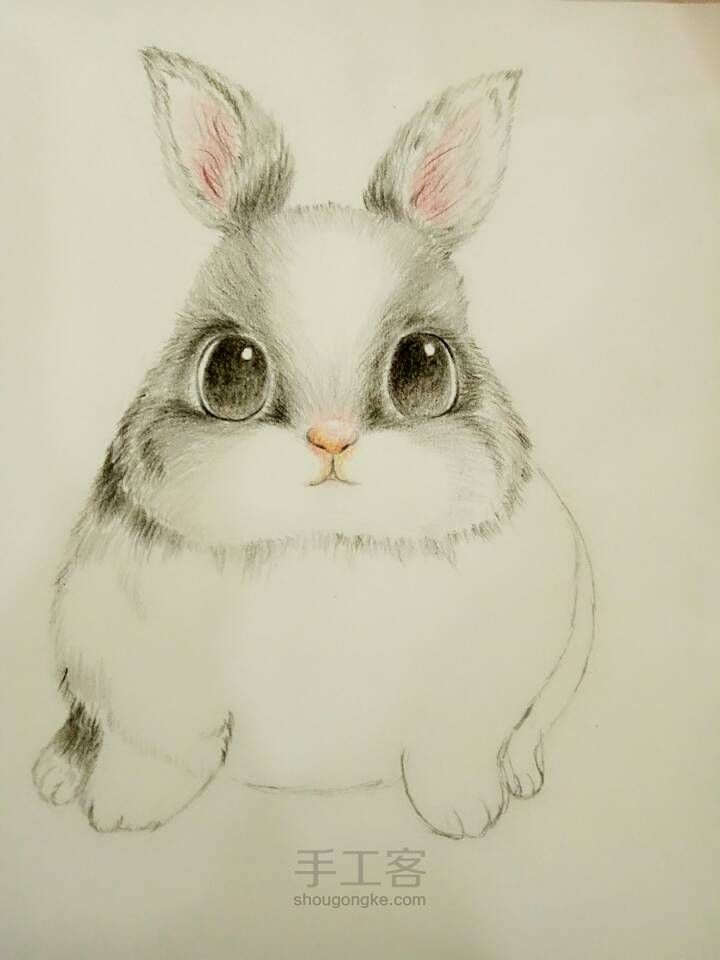 可爱小兔子（彩铅） 第4步