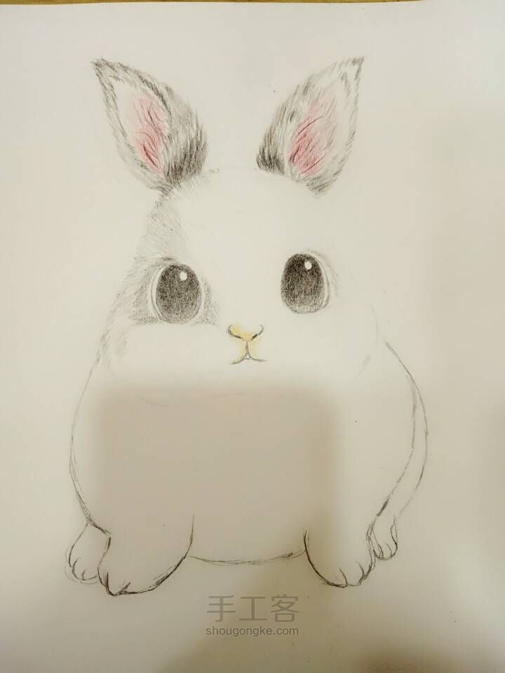 可爱小兔子（彩铅） 第1步
