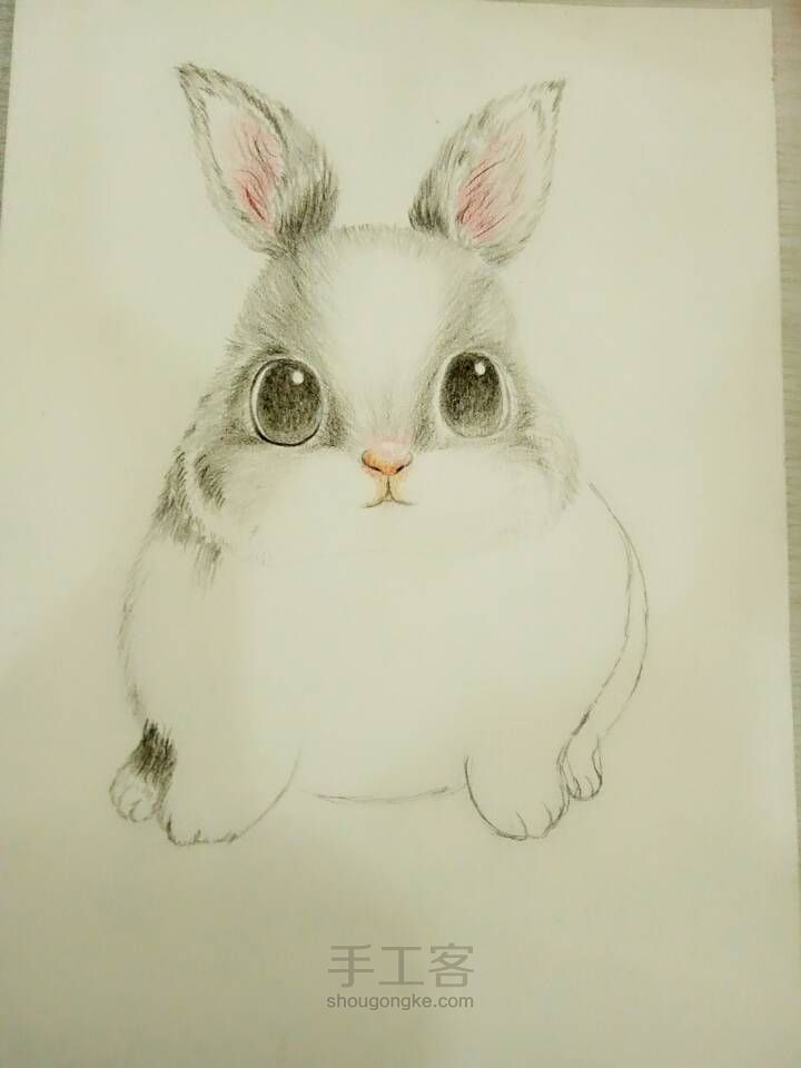 可爱小兔子（彩铅） 第3步
