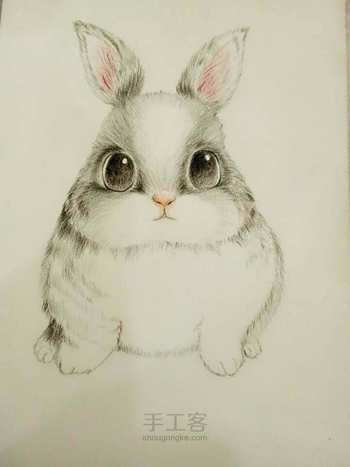 可爱小兔子（彩铅） 第5步