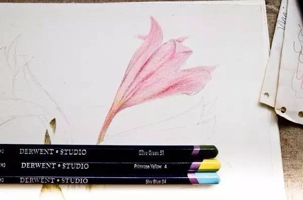 彩铅兰花🌺🌺 第8步